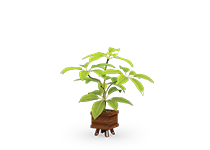 فلاور-باکس-مکعبی-رومیزی-های-نست-تیپ-8621-42 -  - https://mohitara.com